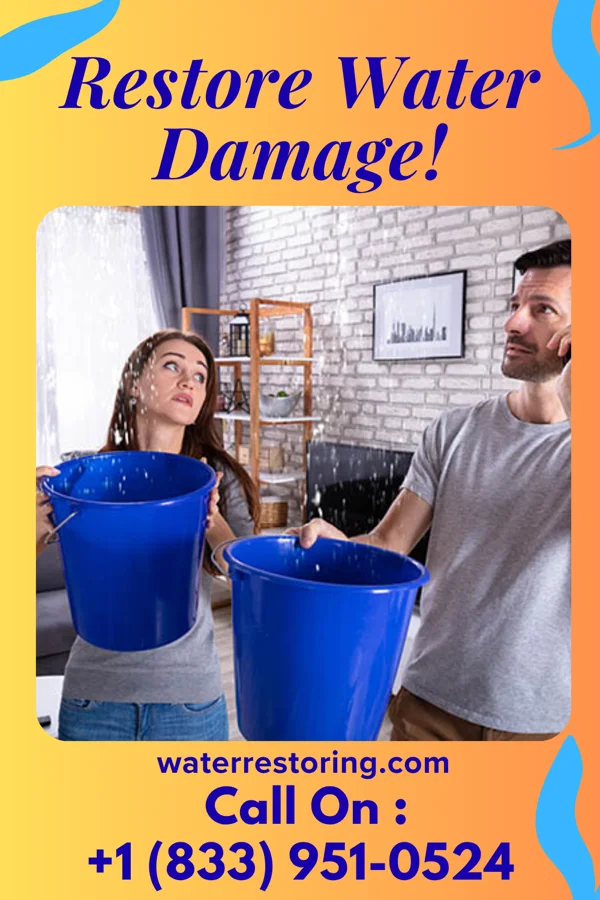 water restoration Total Recovery Contractors Brighton