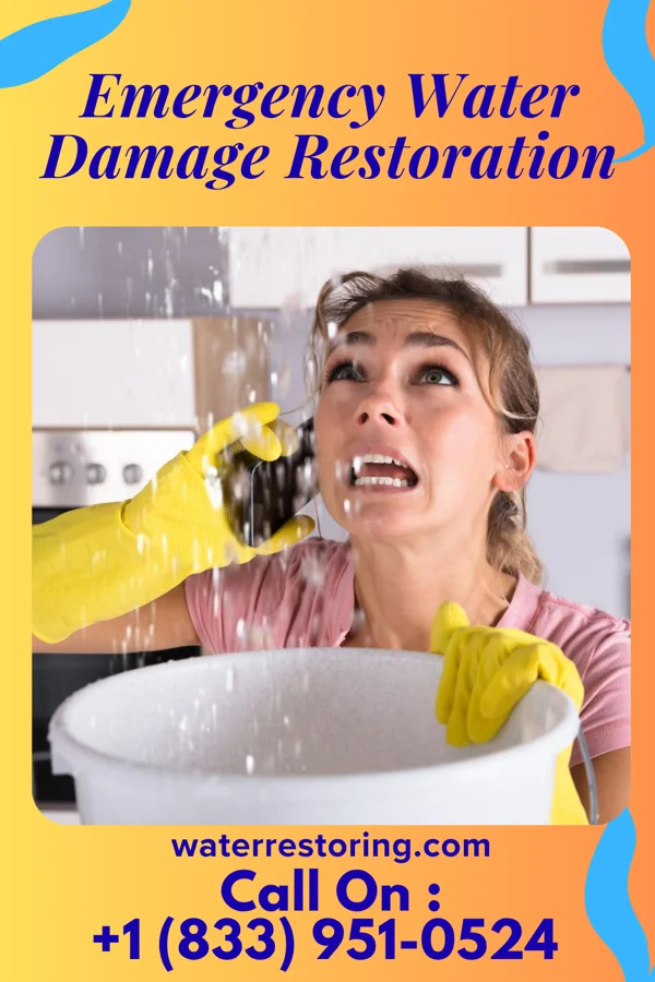 Emergency Water Damage Restoration in Brighton, TN