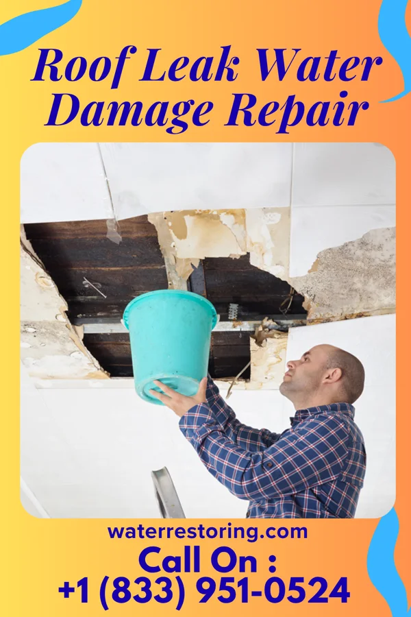 Roof Leak Water Damage Repair in Brighton, TN