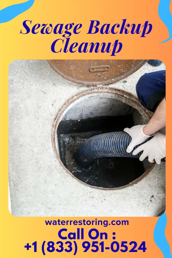 Sewage Backup Cleanup in Brighton, TN